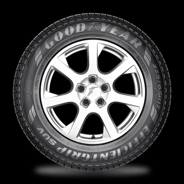 EFG PERF SUV